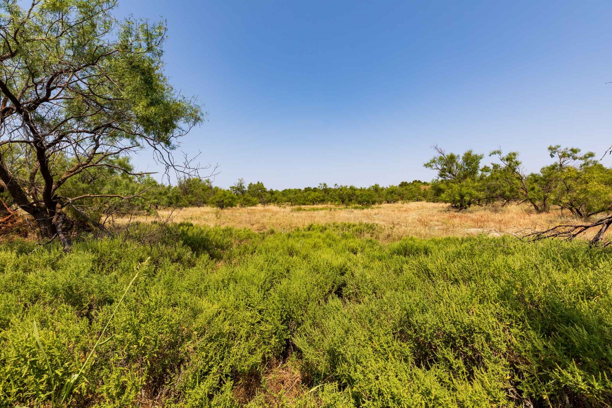 TBD CR 349 , Aspermont, TX, 79502 | 14675142 | Realty Texas LLC