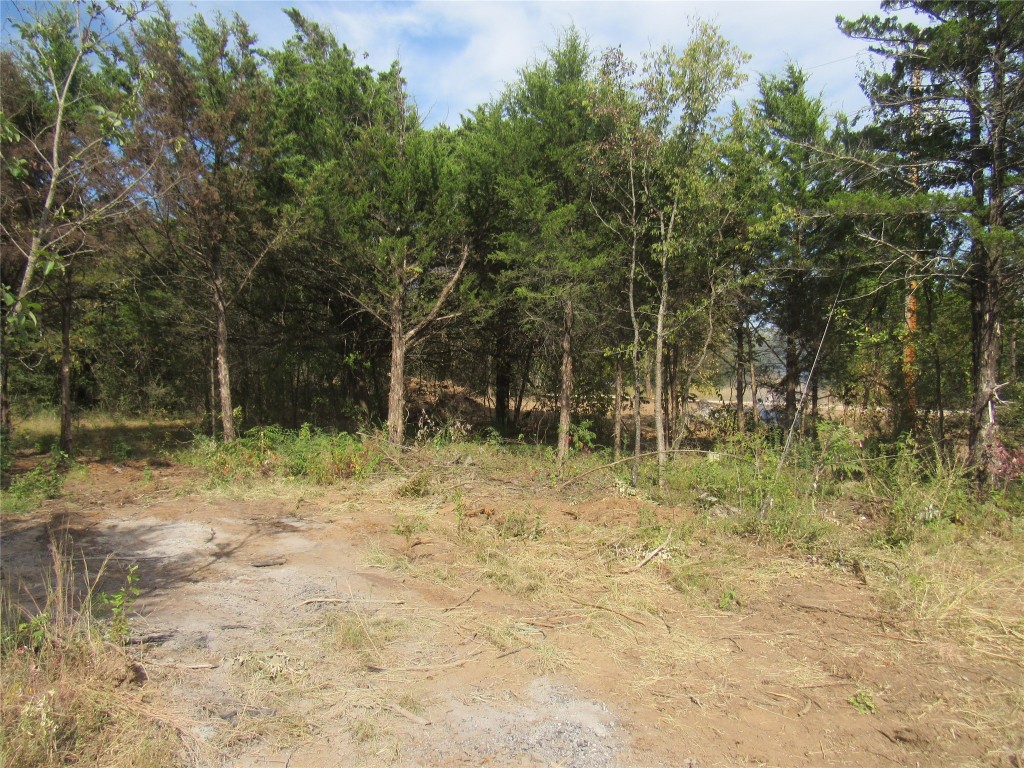 TBD WOODWIND Drive , Gordonville, TX, 76245 | 14679895 | Realty Texas LLC