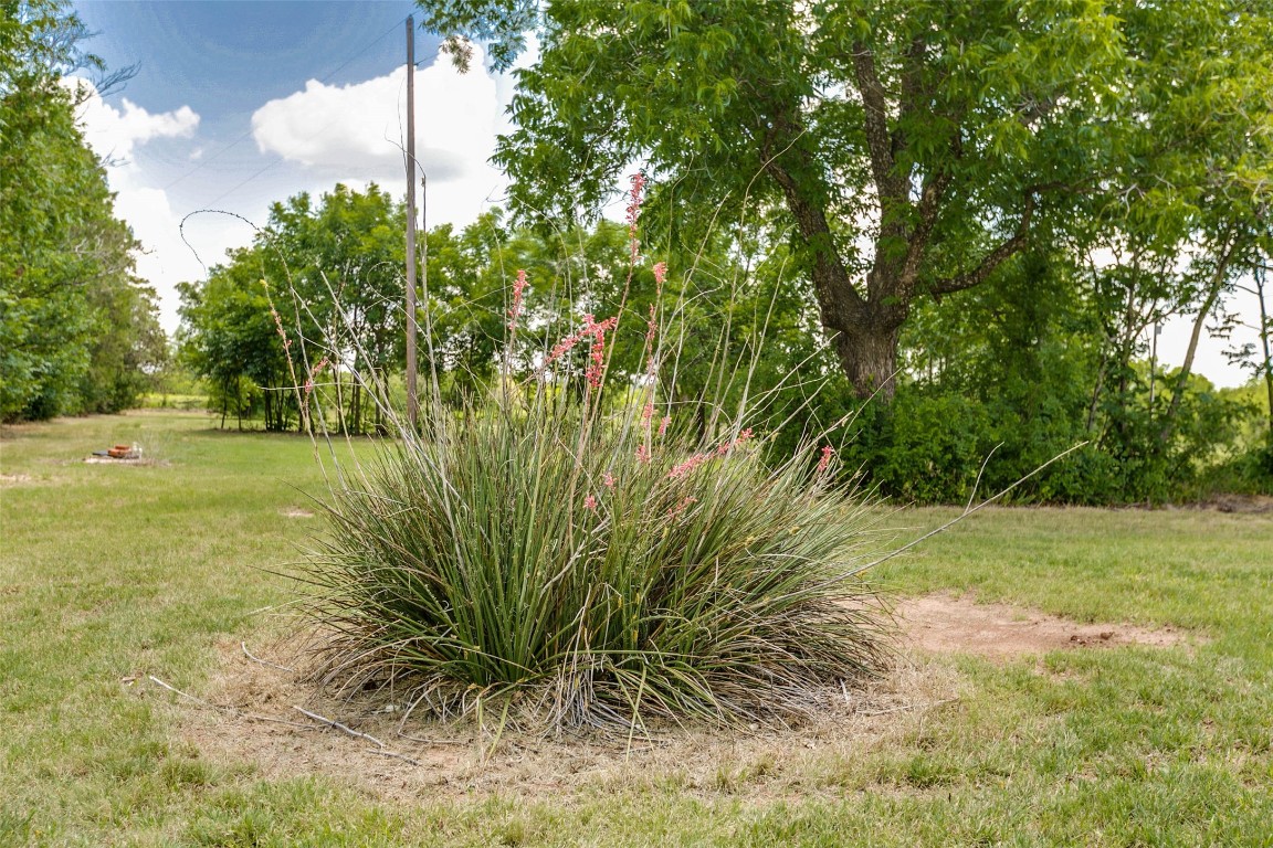 718 County RD , Ovalo, TX, 79541 | 14676828 | Realty Texas LLC
