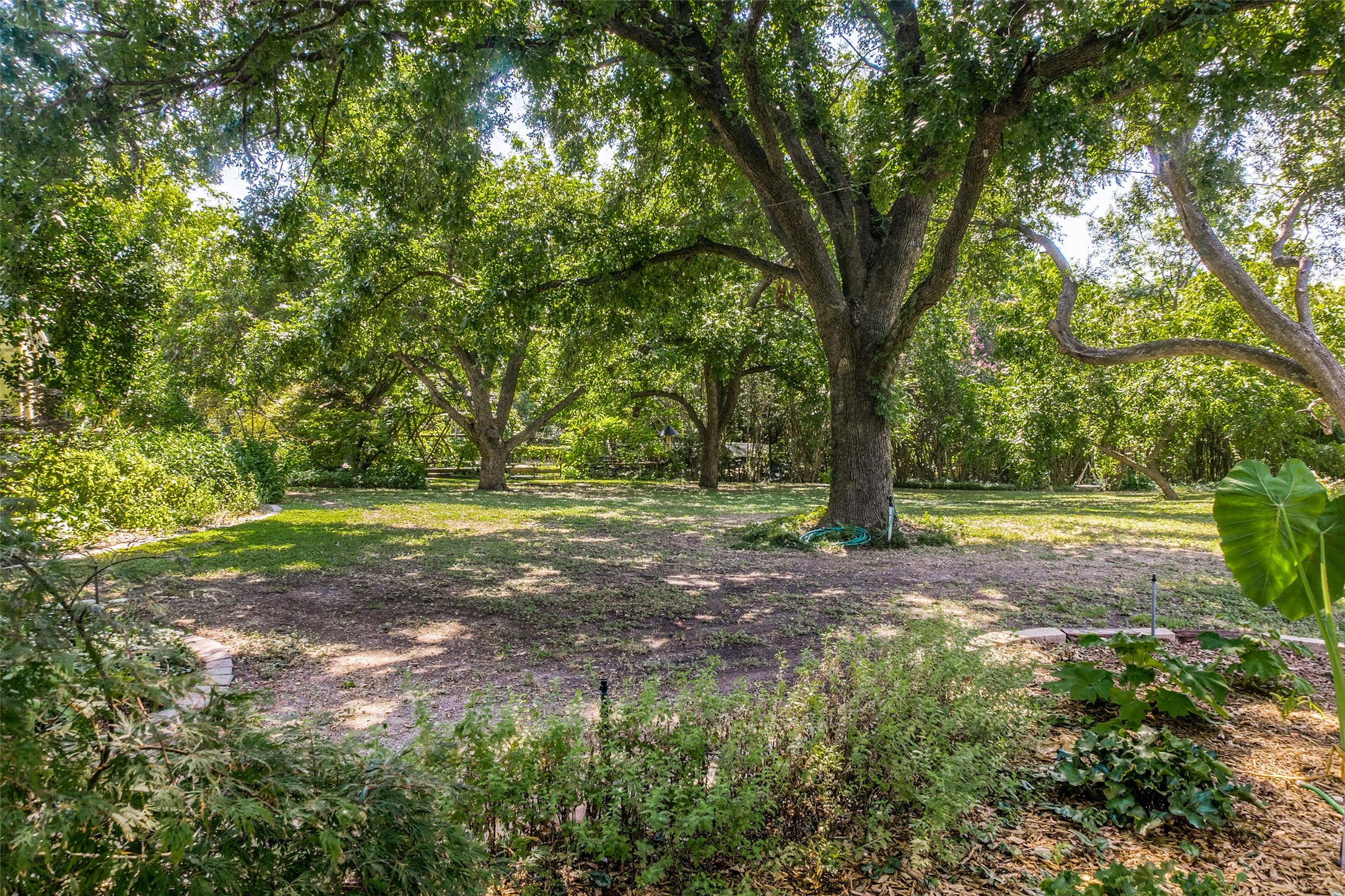 1226 E Campbell Road , Garland, TX, 75044 | 14666578 | Realty Texas LLC