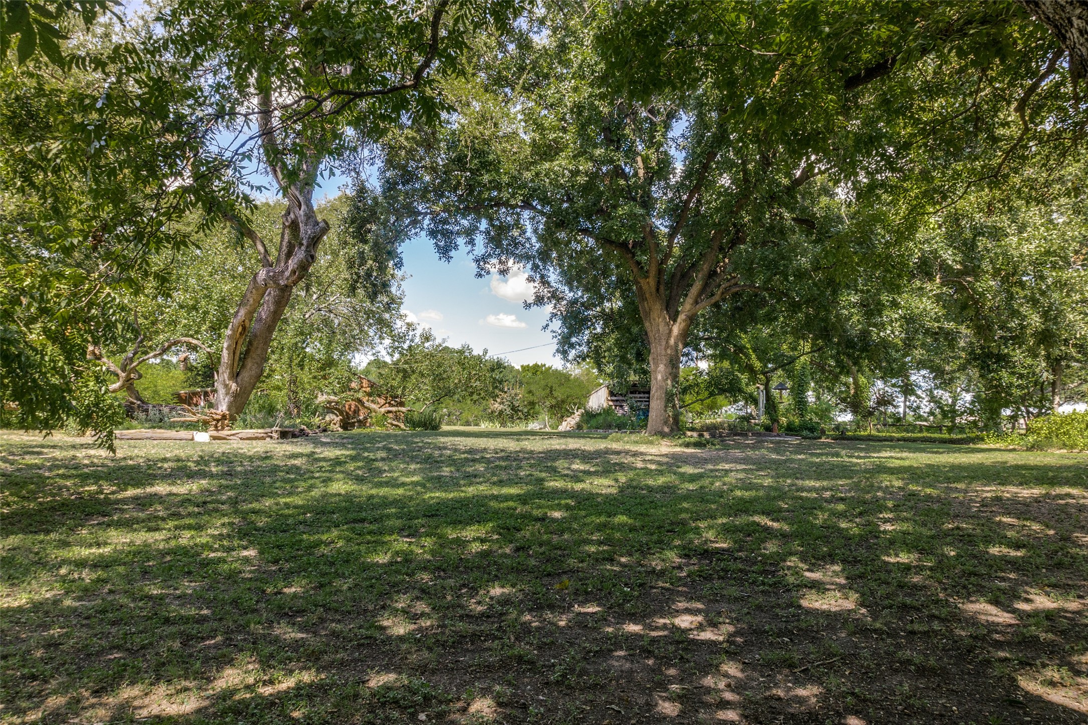1226 E Campbell Road , Garland, TX, 75044 | 14666578 | Realty Texas LLC