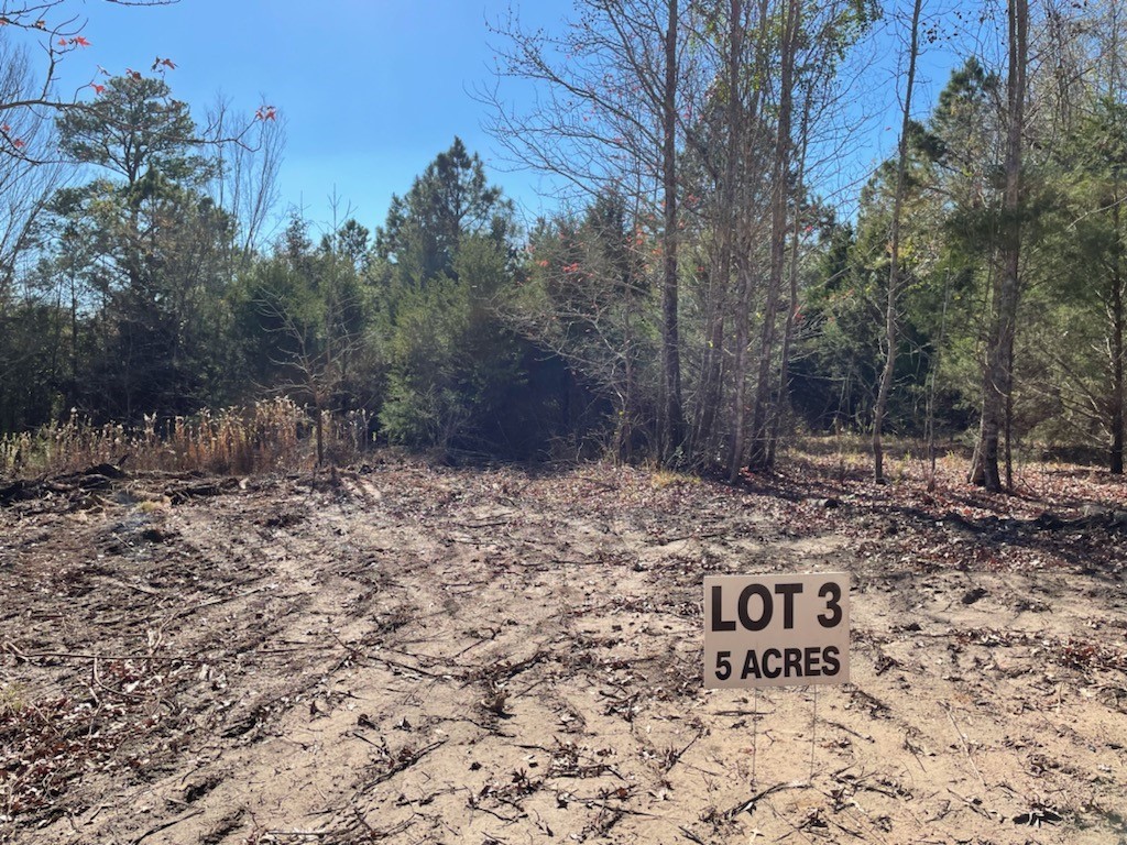 LOT 3 County Road 4609 , Edom, TX, 75754 | 14680550 | Realty Texas LLC