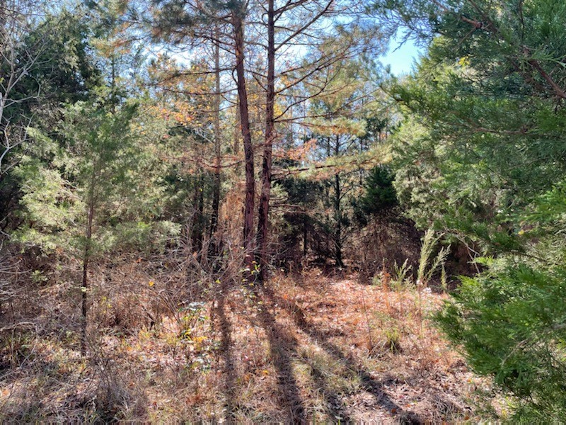 LOT 3 County Road 4609 , Edom, TX, 75754 | 14680550 | Realty Texas LLC