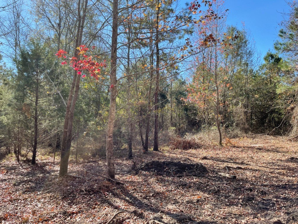LOT 3 County Road 4609 , Edom, TX, 75754 | 14680550 | Realty Texas LLC