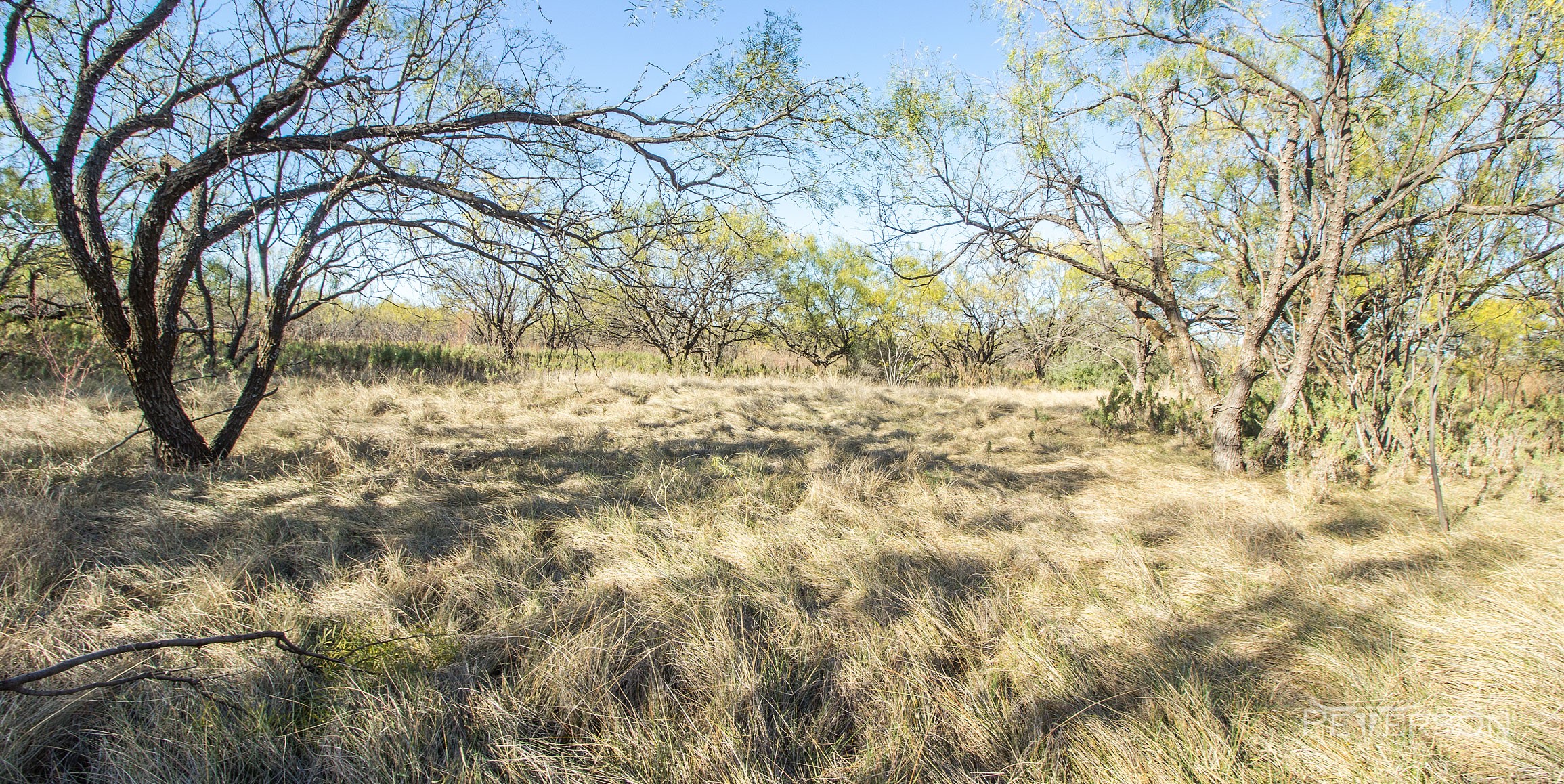 7050 Autumn Sage Lane, Abilene, TX, 79606 | 14717012 | Realty Texas LLC