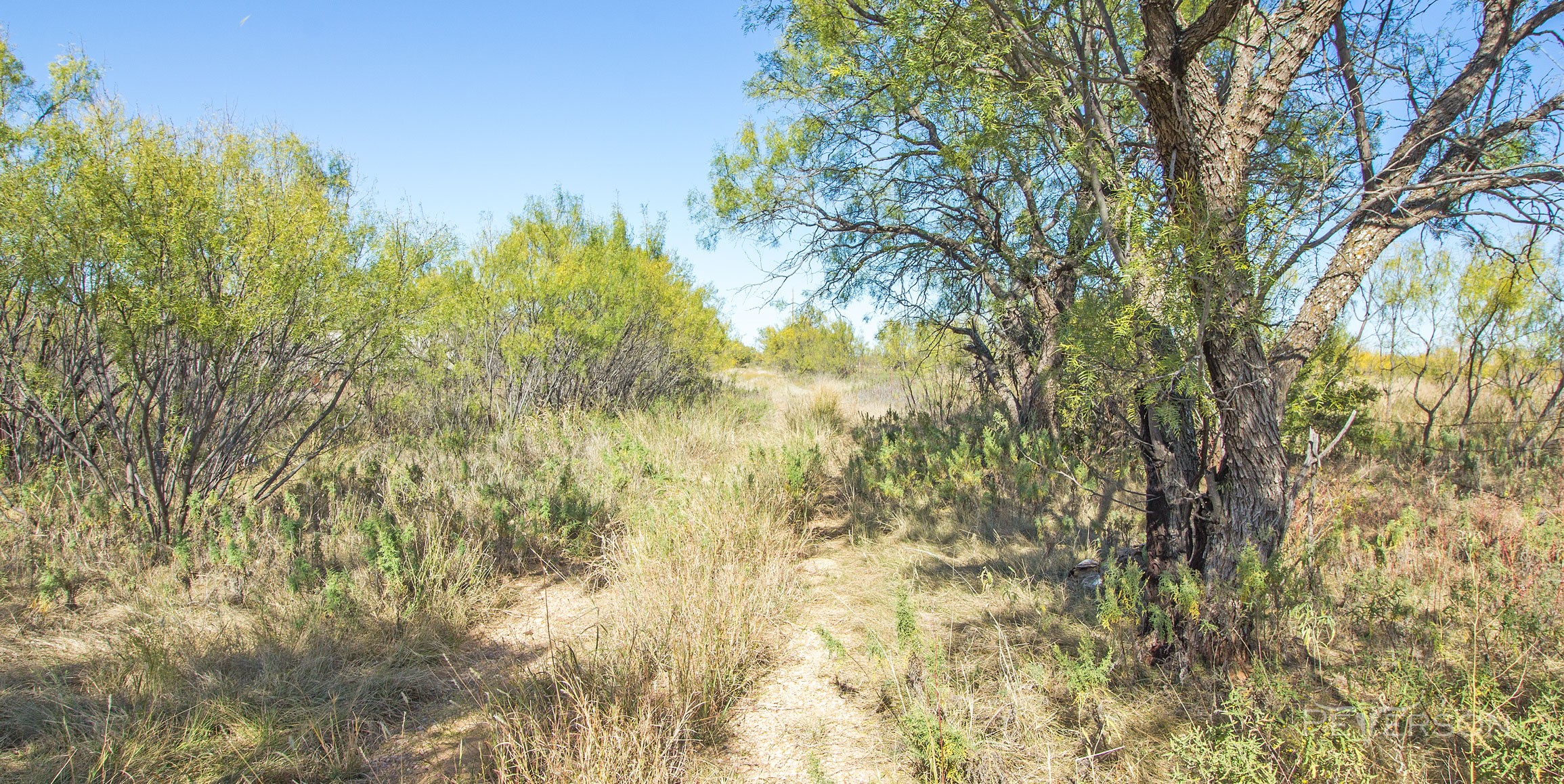 7050 Autumn Sage Lane, Abilene, TX, 79606 | 14717012 | Realty Texas LLC