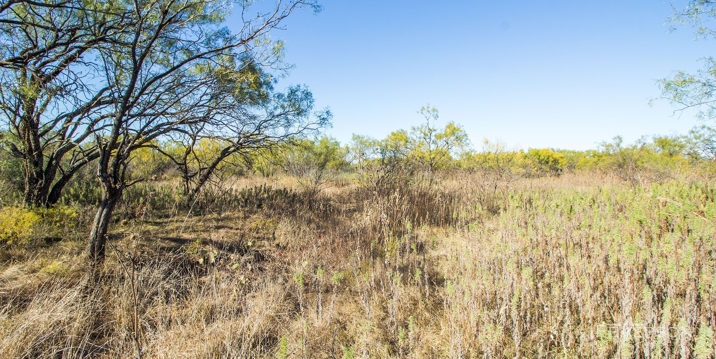 7050 Autumn Sage Lane, Abilene, TX, 79606 | 14717012 | Realty Texas LLC