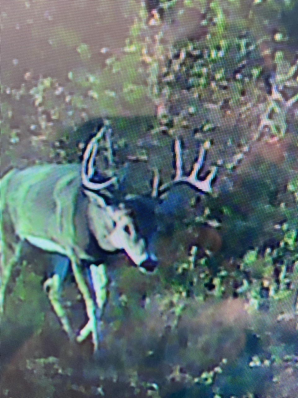 TBD Hwy 36 E. Tract 1 , Jonesboro, TX, 76538 | 14723211 | Realty Texas LLC