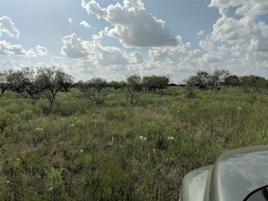 TBD Hwy 36 E. Tract 1 , Jonesboro, TX, 76538 | 14723211 | Realty Texas LLC