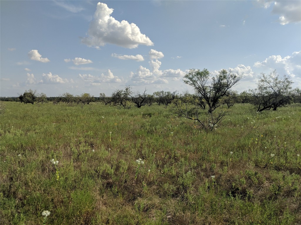 TBD Hwy 36 E. Tract 1 , Jonesboro, TX, 76538 | 14723211 | Realty Texas LLC