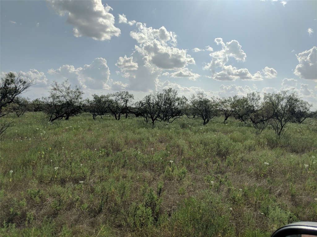 TBD Hwy 36 E. Tract 1 , Jonesboro, TX, 76538 | 14723211 | Realty Texas LLC