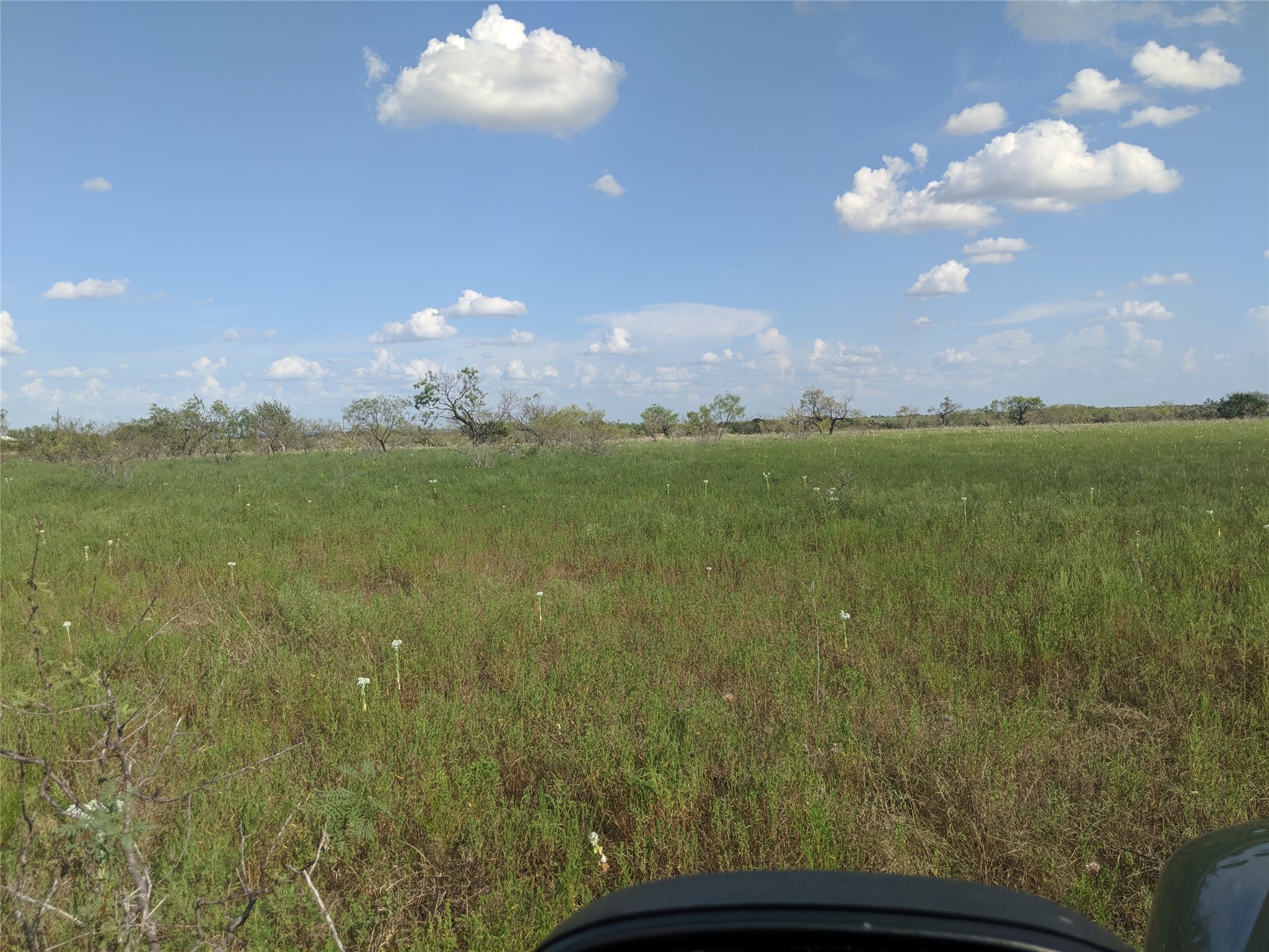 TBD Hwy 36 E. Tract 1 , Jonesboro, TX, 76538 | 14723211 | Realty Texas LLC