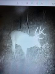 TBD Hwy 36 E. Tract 1 , Jonesboro, TX, 76538 | 14723211 | Realty Texas LLC