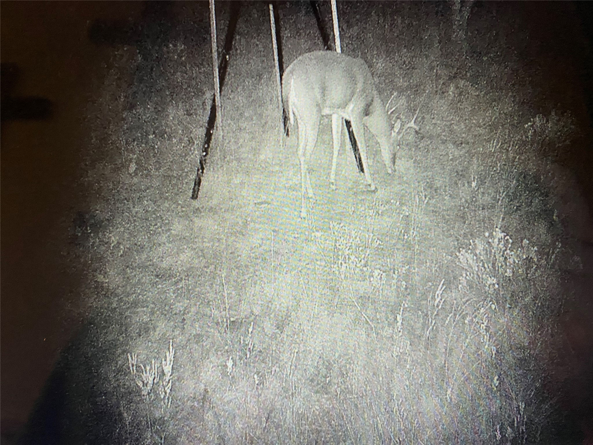 TBD Hwy 36 E. Tract 1 , Jonesboro, TX, 76538 | 14723211 | Realty Texas LLC