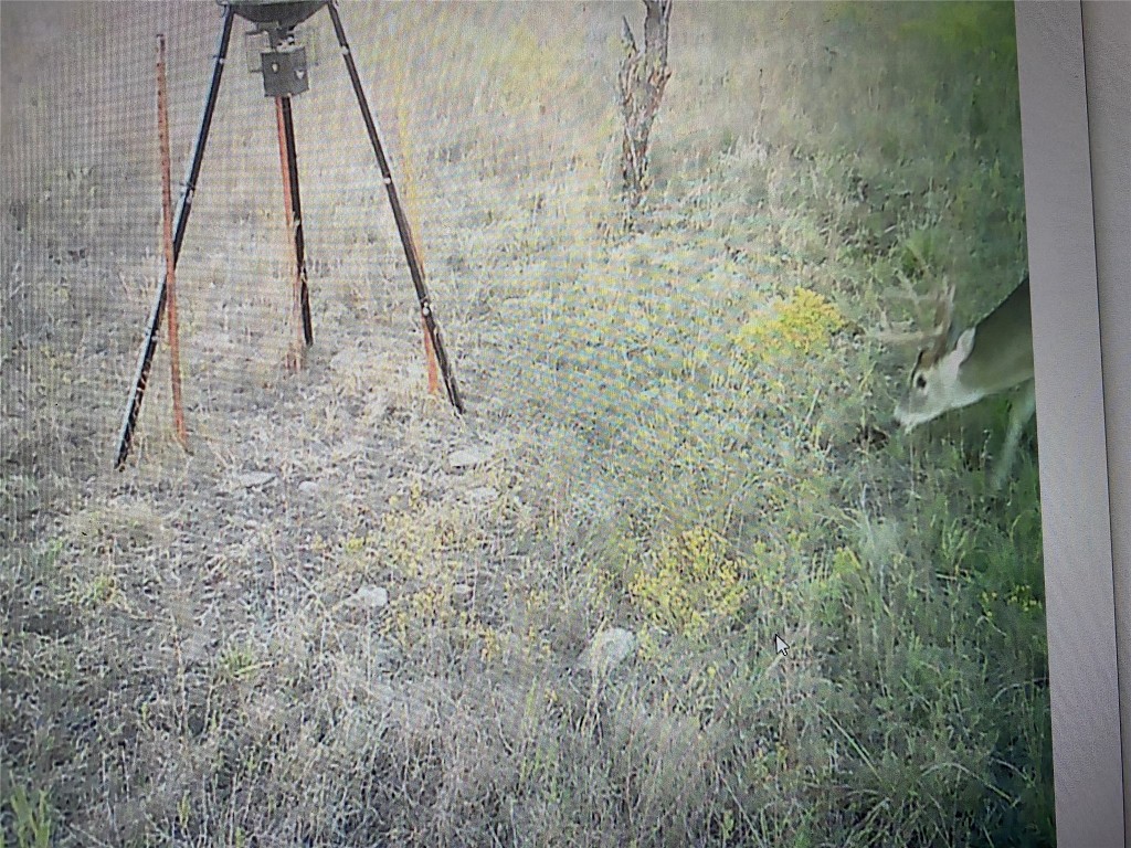 TBD Hwy 36 E. Tract 1 , Jonesboro, TX, 76538 | 14723211 | Realty Texas LLC