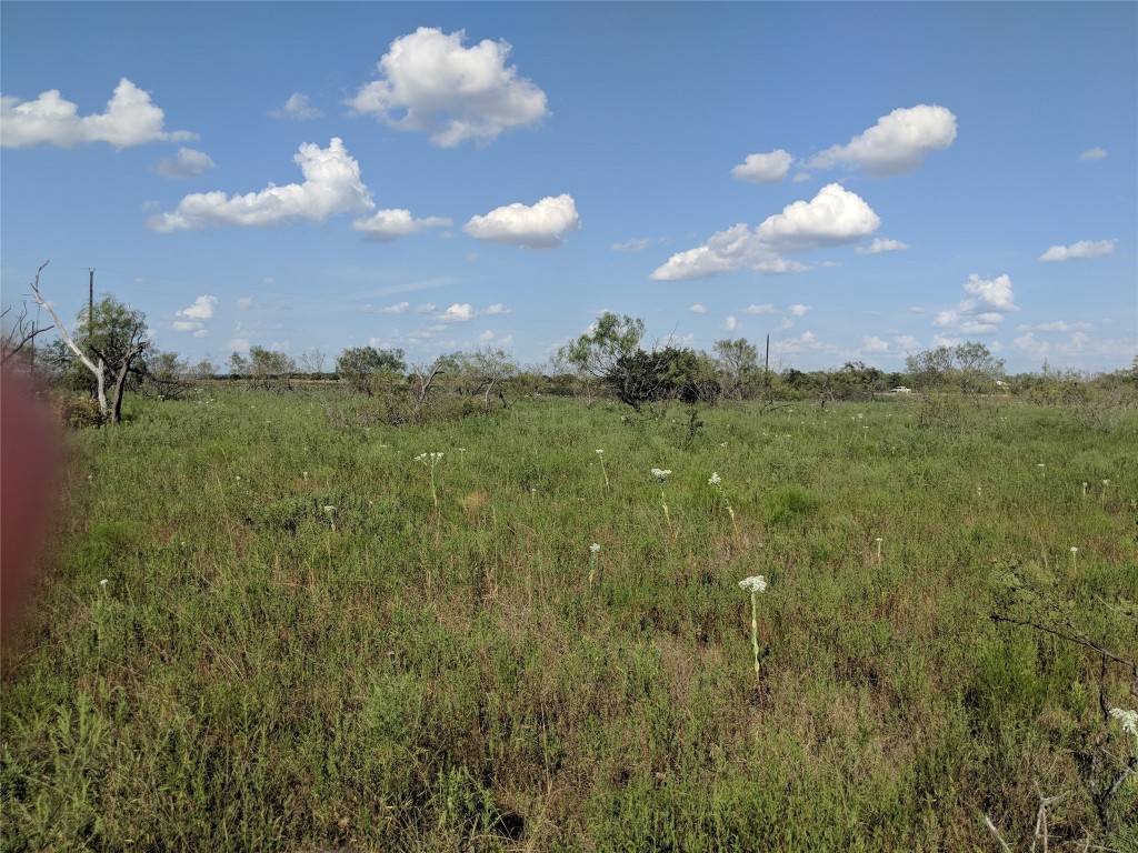 TBD HWY 36 E. Tract 2 , Jonesboro, TX, 76538 | 14723236 | Realty Texas LLC