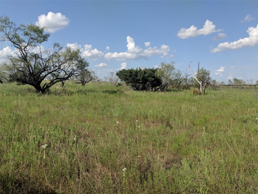 TBD HWY 36 E. Tract 2 , Jonesboro, TX, 76538 | 14723236 | Realty Texas LLC