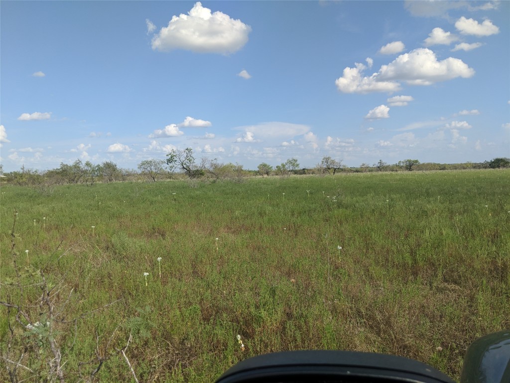 TBD HWY 36 E. Tract 2 , Jonesboro, TX, 76538 | 14723236 | Realty Texas LLC