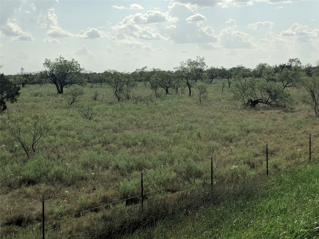TBD HWY 36 E. Tract 2 , Jonesboro, TX, 76538 | 14723236 | Realty Texas LLC