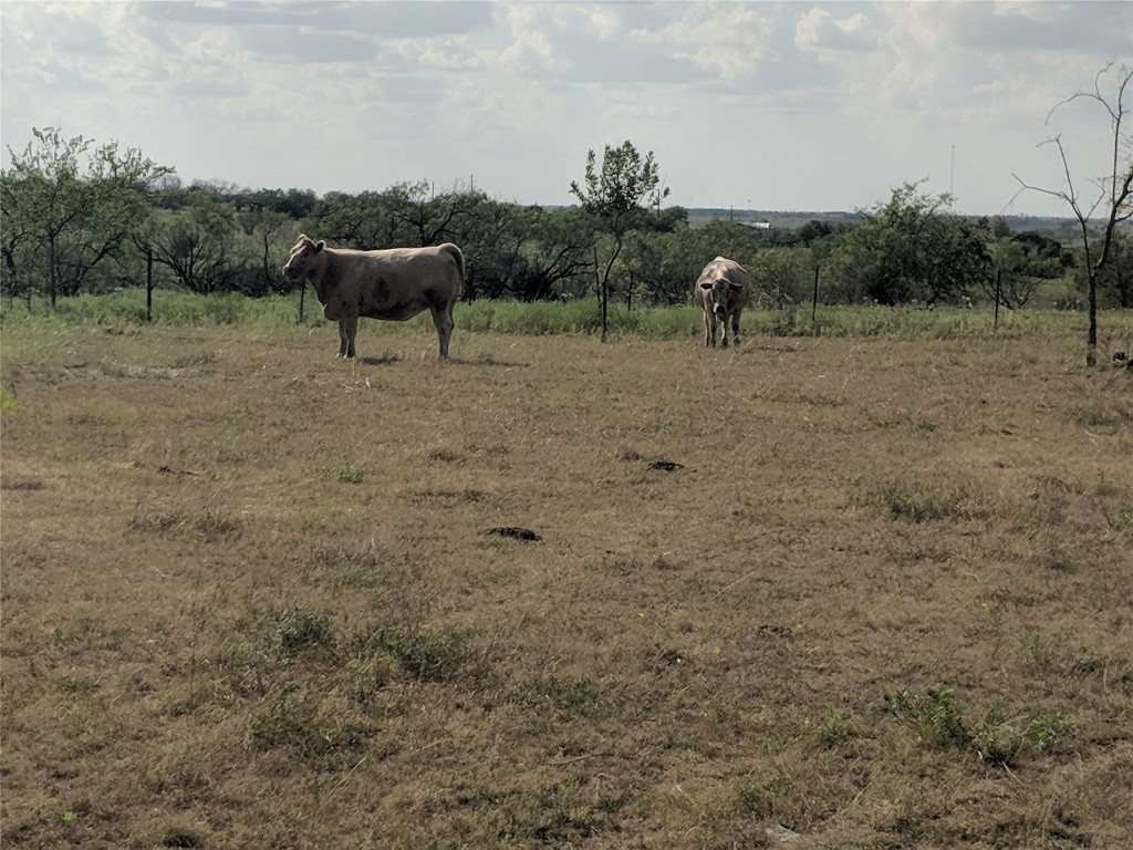 TBD HWY 36 E. Tract 2 , Jonesboro, TX, 76538 | 14723236 | Realty Texas LLC