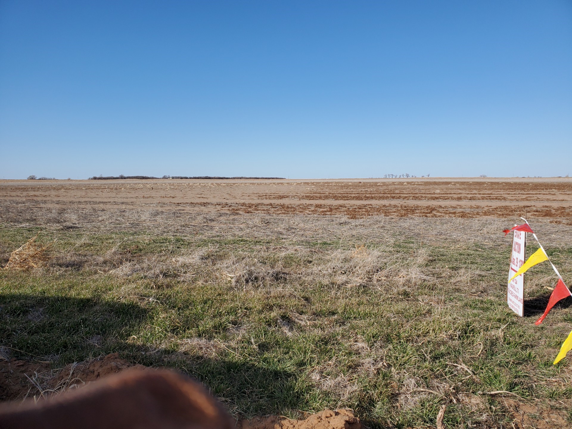 TBD County Road 124 , Haskell, TX, 79521 | 14746882 | Realty Texas LLC
