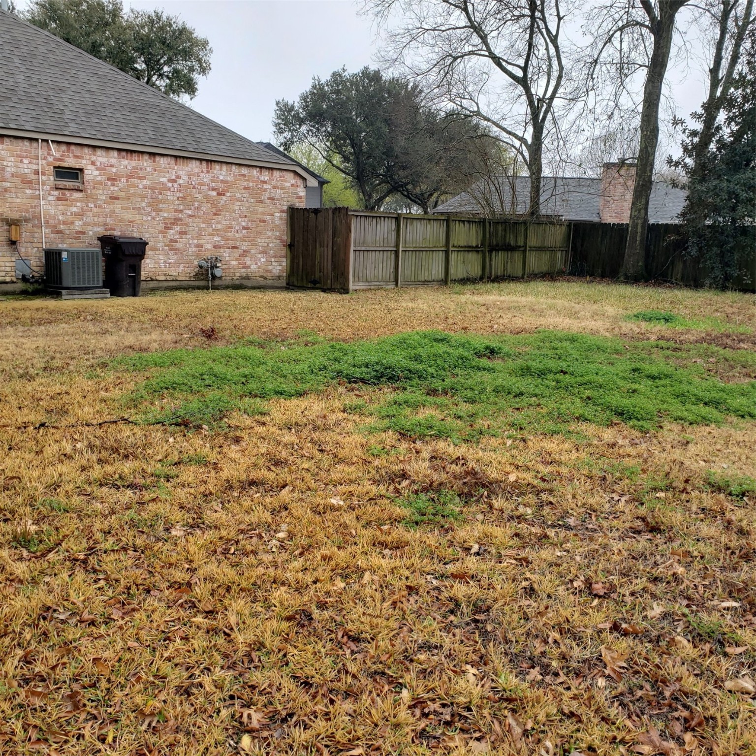 6223 Woodland Forest Drive , Houston, TX, 77088 | 76222151 | Realty Texas LLC