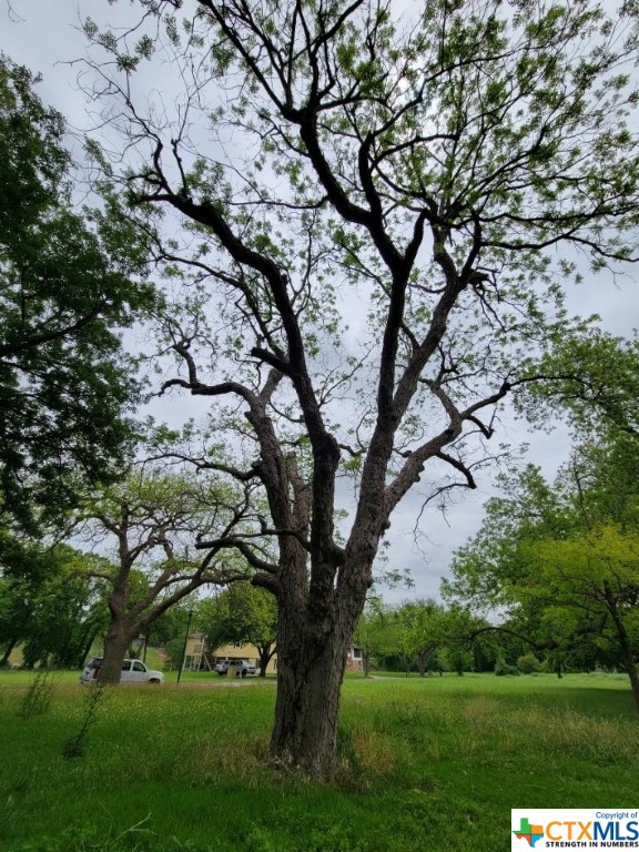 43 E Hampton Drive , Seguin, TX, 78155 | 467421 | Realty Texas LLC