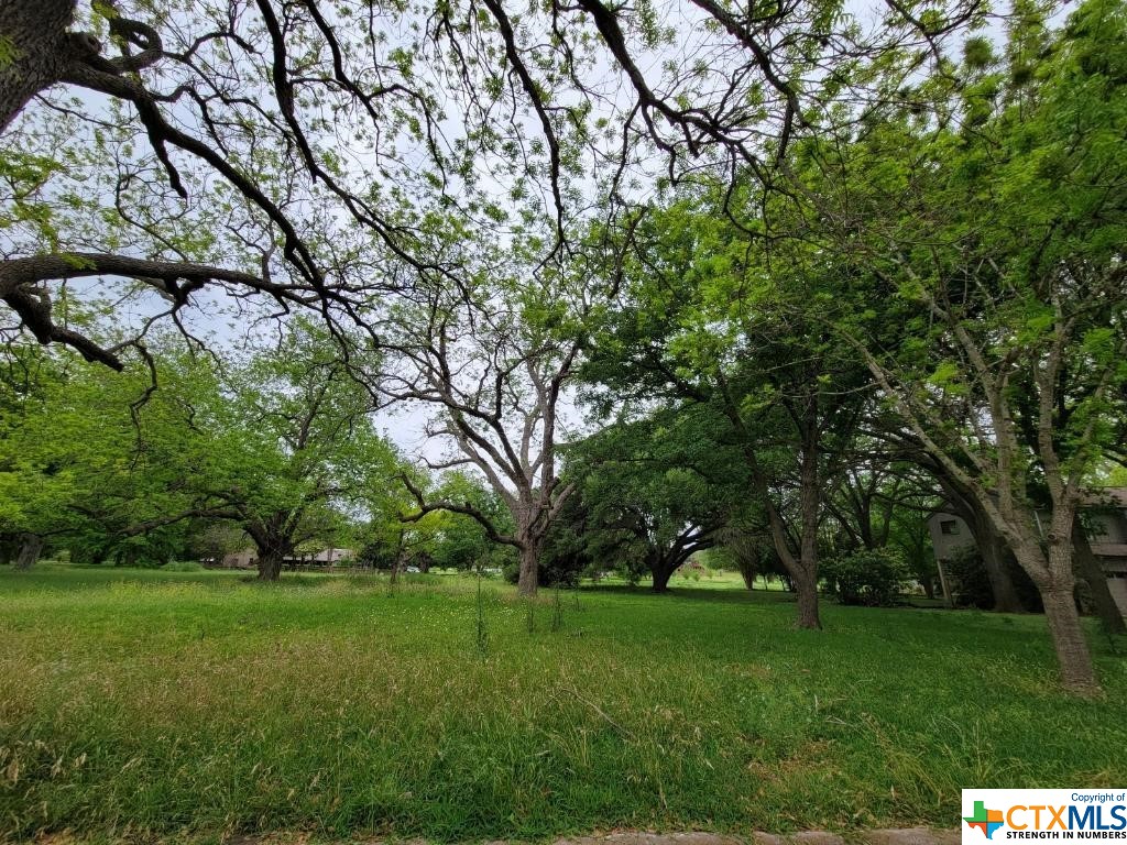 43 E Hampton Drive , Seguin, TX, 78155 | 467421 | Realty Texas LLC
