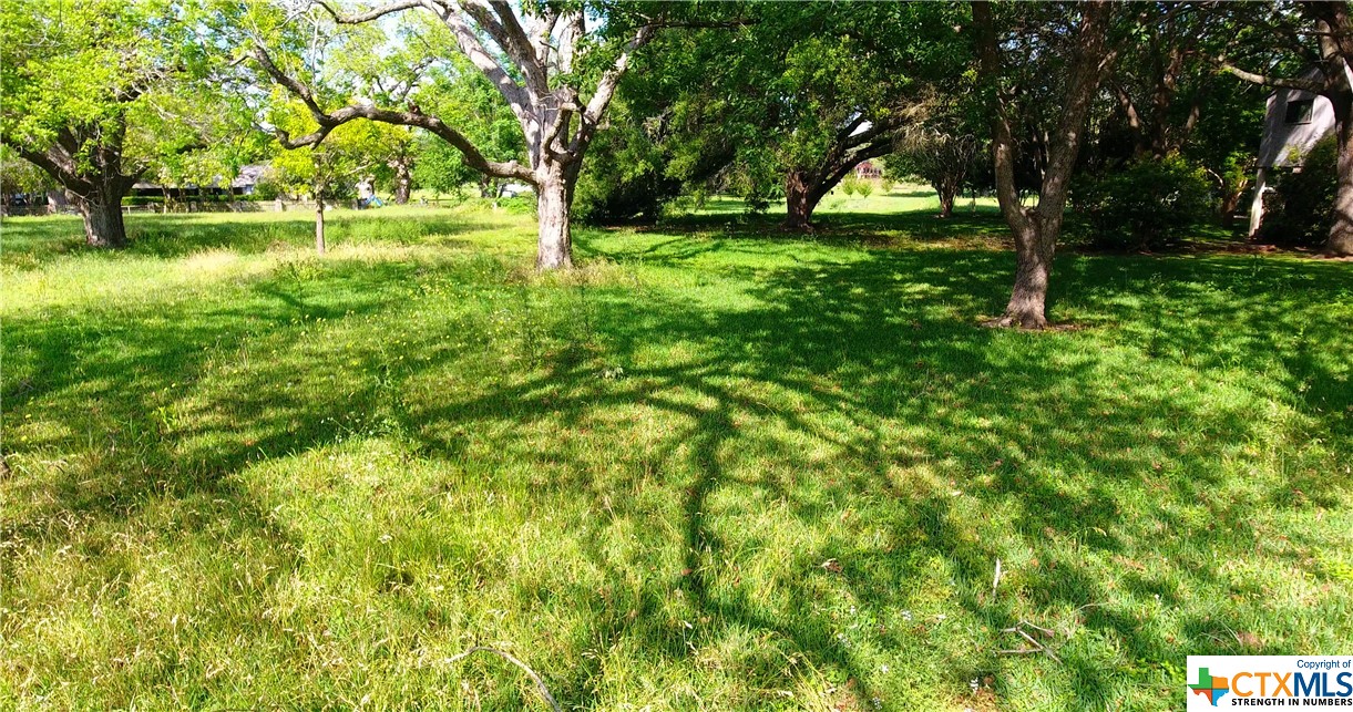 43 E Hampton Drive , Seguin, TX, 78155 | 467421 | Realty Texas LLC
