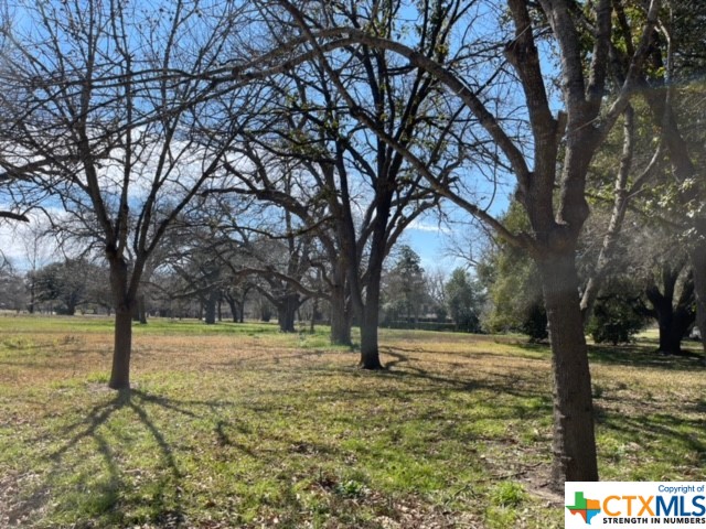43 E Hampton Drive , Seguin, TX, 78155 | 467421 | Realty Texas LLC
