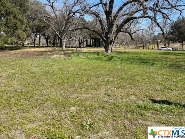 43 E Hampton Drive , Seguin, TX, 78155 | 467421 | Realty Texas LLC