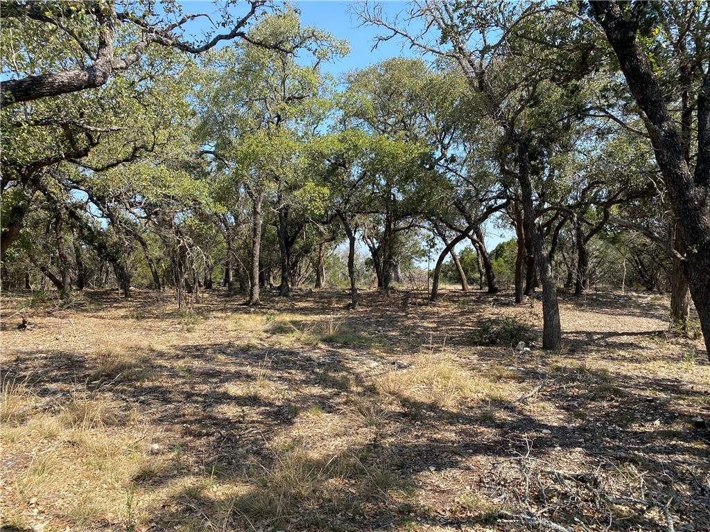 500 Stonegate Lane , Dripping Springs, TX, 78620 | 2589631 | Realty Texas LLC