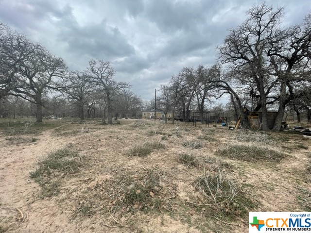 217 Wishing Star Lane , Seguin, TX, 78155 | 467465 | Realty Texas LLC