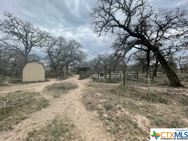 217 Wishing Star Lane , Seguin, TX, 78155 | 467465 | Realty Texas LLC