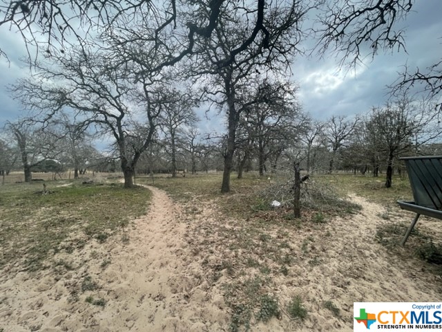 217 Wishing Star Lane , Seguin, TX, 78155 | 467465 | Realty Texas LLC