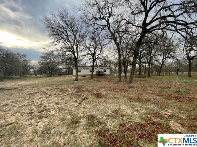 217 Wishing Star Lane , Seguin, TX, 78155 | 467465 | Realty Texas LLC