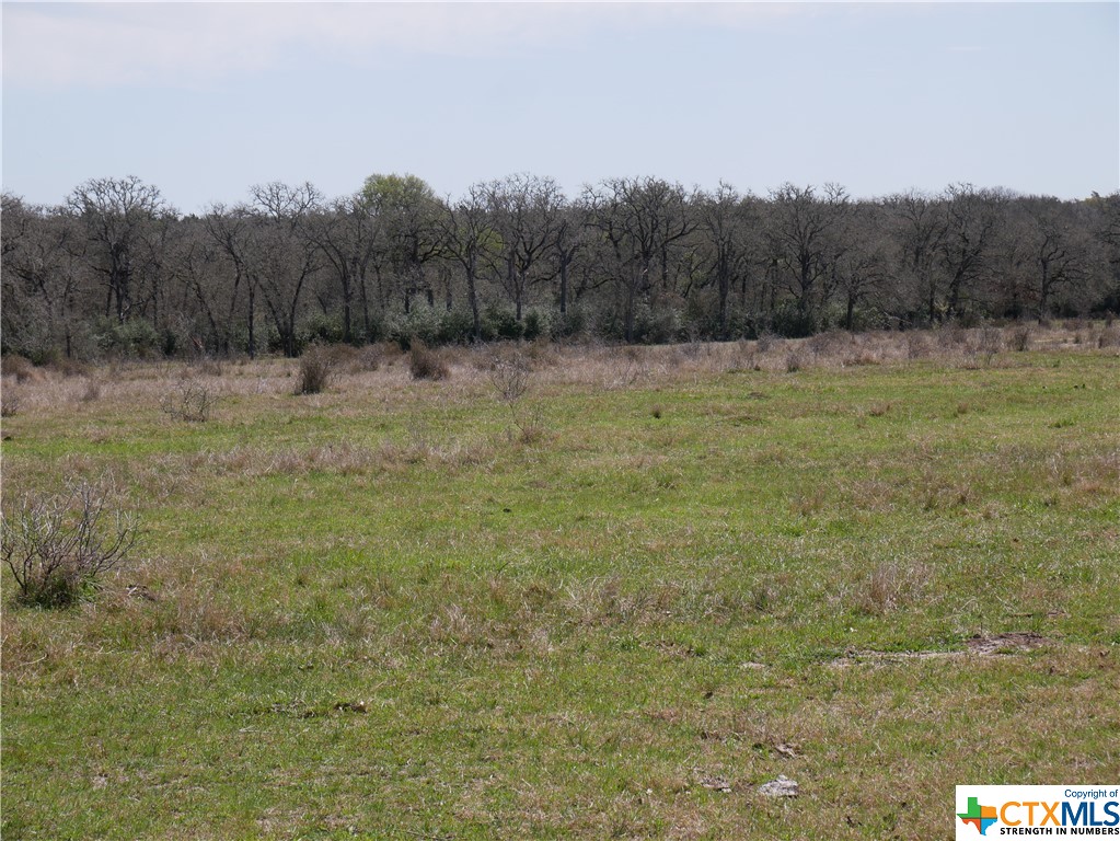 514 Trailer Park Road , Carmine, TX, 78932 | 465388 | Realty Texas LLC