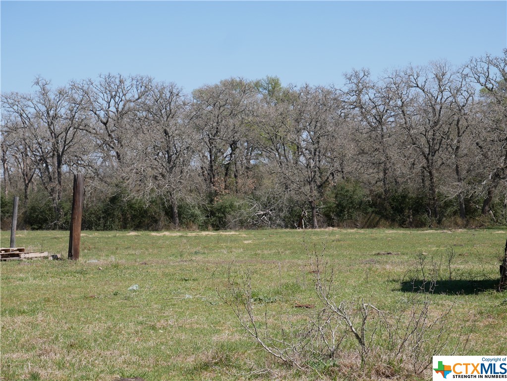 514 Trailer Park Road , Carmine, TX, 78932 | 465388 | Realty Texas LLC