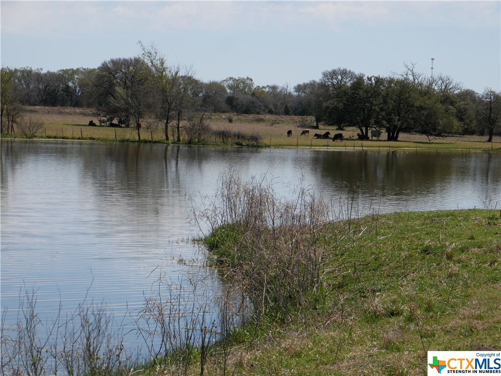 514 Trailer Park Road , Carmine, TX, 78932 | 465388 | Realty Texas LLC