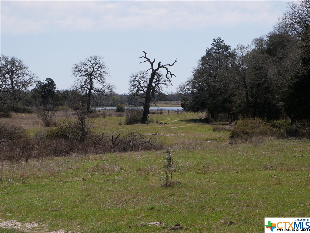 514 Trailer Park Road , Carmine, TX, 78932 | 465388 | Realty Texas LLC