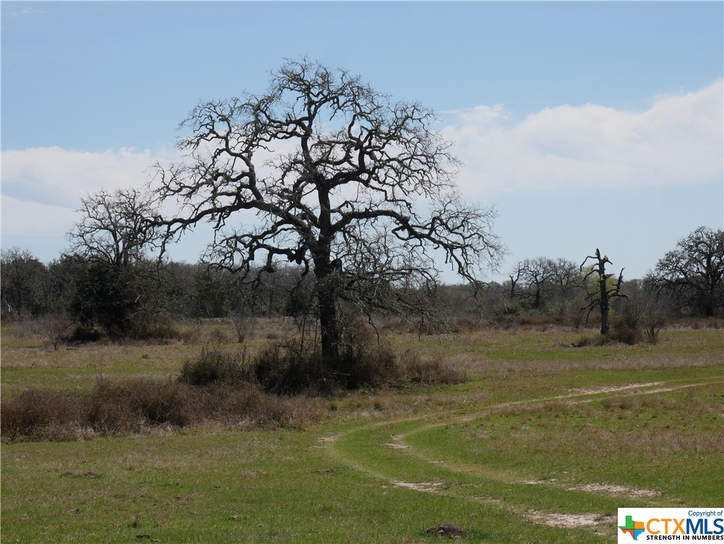 514 Trailer Park Road , Carmine, TX, 78932 | 465388 | Realty Texas LLC
