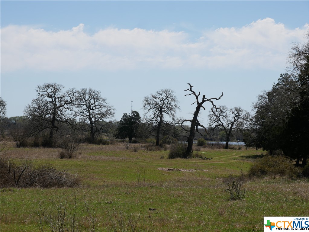 514 Trailer Park Road , Carmine, TX, 78932 | 465388 | Realty Texas LLC