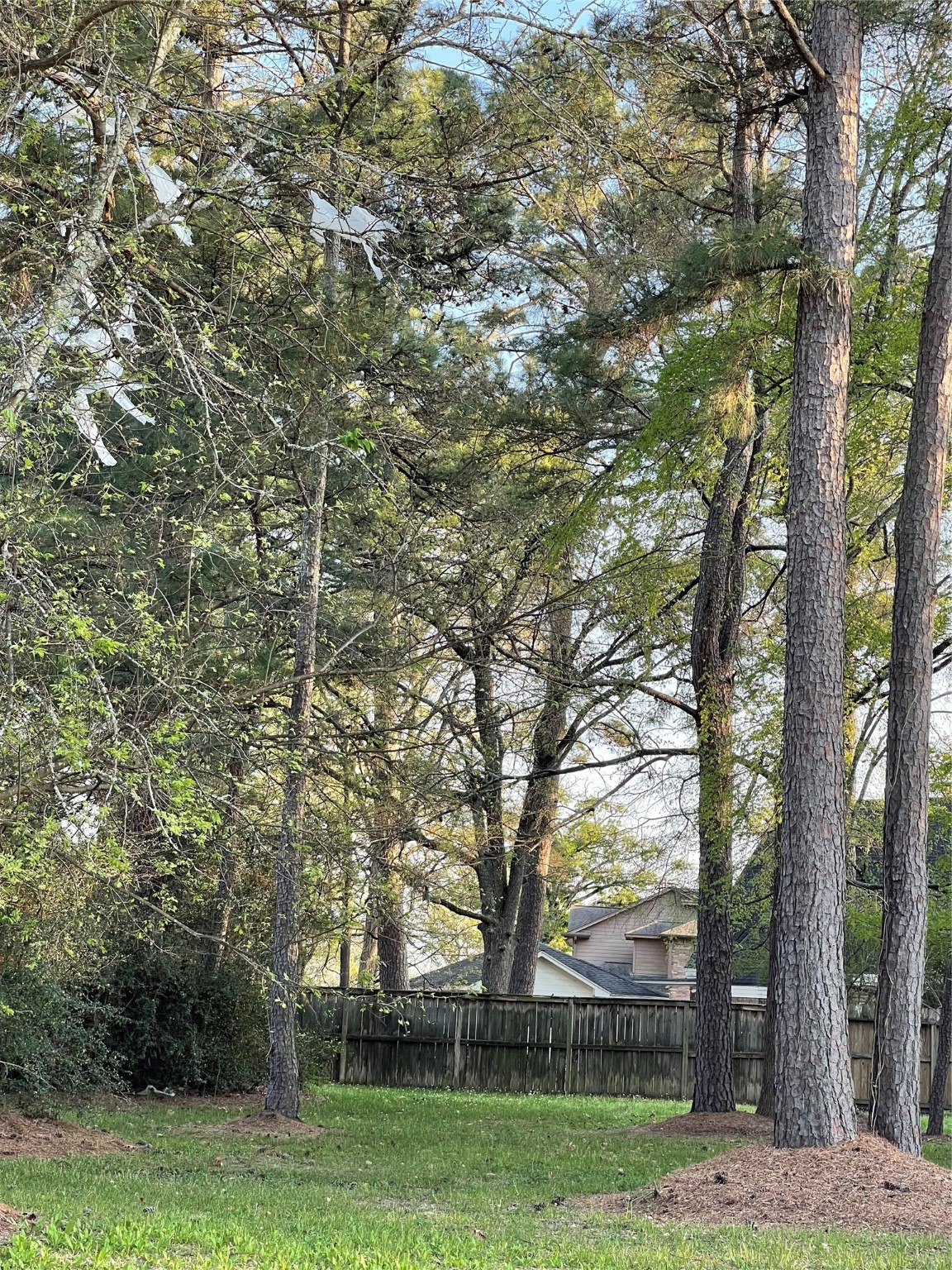 99 Wick Willow , Montgomery, TX, 77356 | 78617171 | Realty Texas LLC