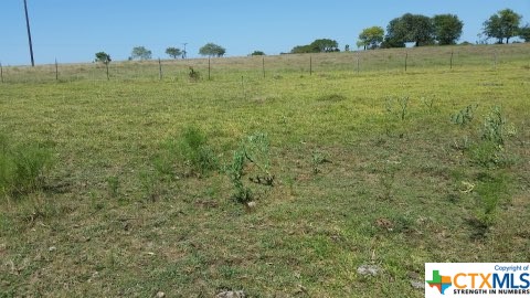 736 E Wiedemann Road , Flatonia, TX, 78941 | 466710 | Realty Texas LLC