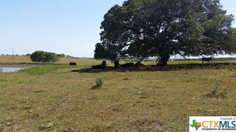 736 E Wiedemann Road , Flatonia, TX, 78941 | 466710 | Realty Texas LLC