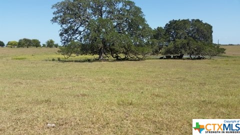736 E Wiedemann Road , Flatonia, TX, 78941 | 466710 | Realty Texas LLC