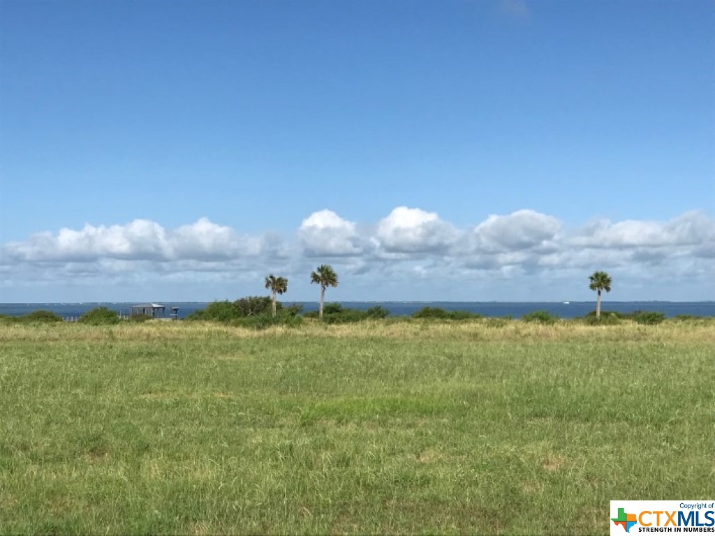 Lot 31 Blk 2 Bay Club Drive, Seadrift, TX, 77983 | 467014 | Realty Texas LLC