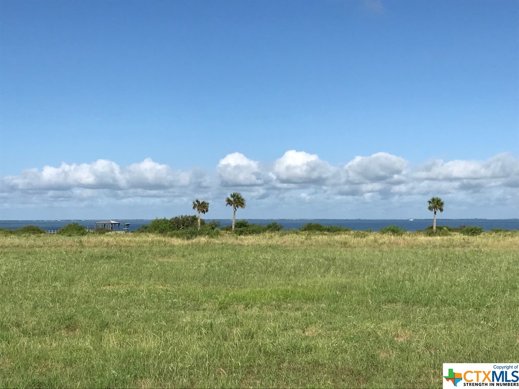 Lot 32 Blk 2 Bay Club Drive, Seadrift, TX, 77983 | 467180 | Realty Texas LLC