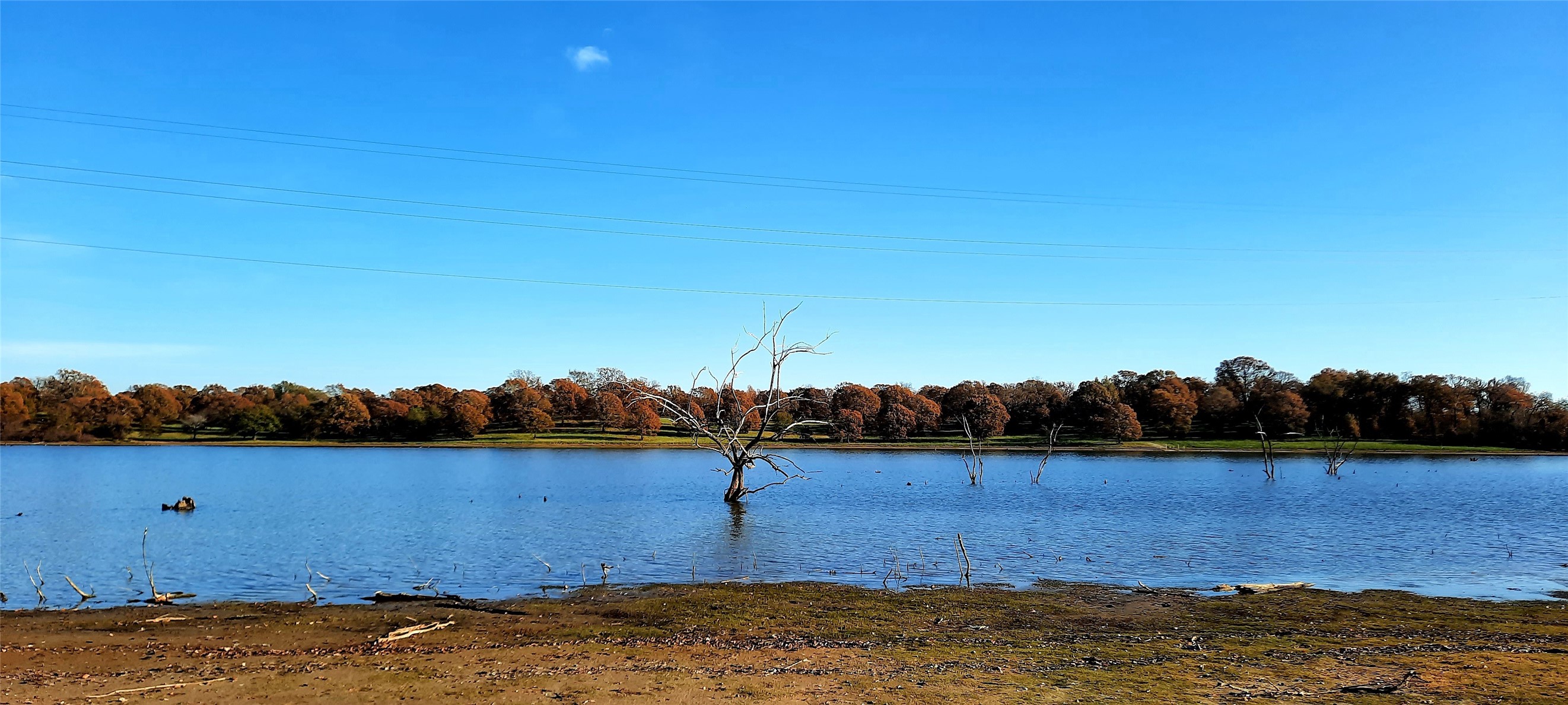 Lot 3 Rs County Road 3328, Emory, TX, 75440 | 20024296 | Realty Texas LLC