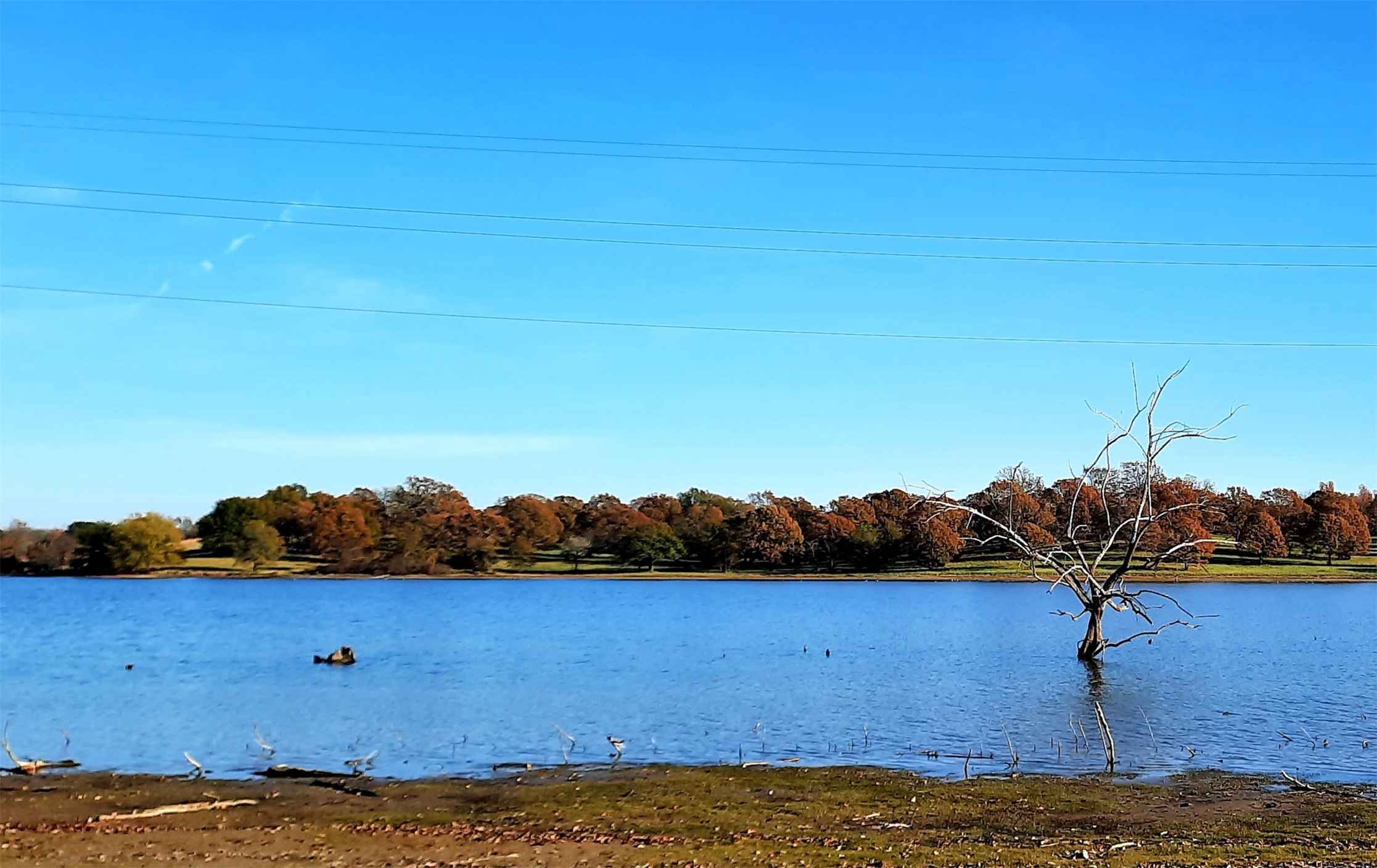 Lot 3 Rs County Road 3328, Emory, TX, 75440 | 20024296 | Realty Texas LLC